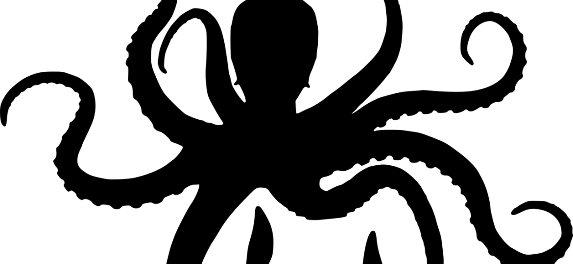 642711ecf28da