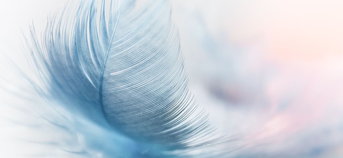 644f63875b50c