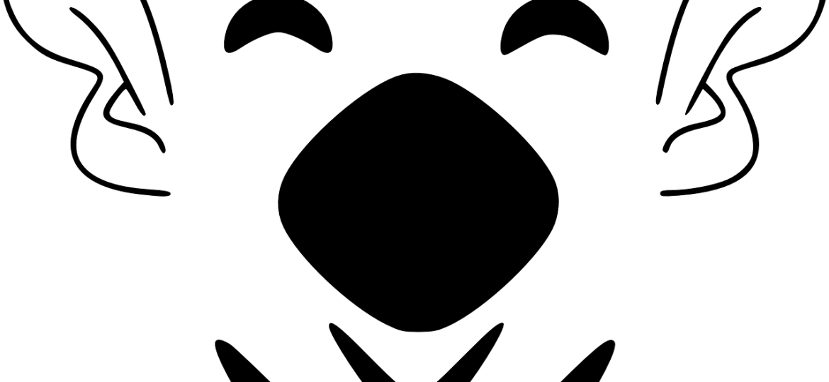 6457148016871