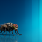 AI Generated Cover Image